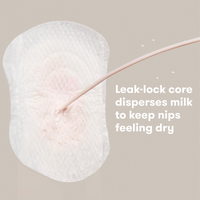 All-Day Dry Nursing Pads