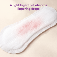 Postpartum Final Phase Pads
