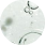 Panthenol [Provitamin B5]