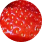 Strawberry [Fragaria Vesca (Strawberry) Fruit Extract]